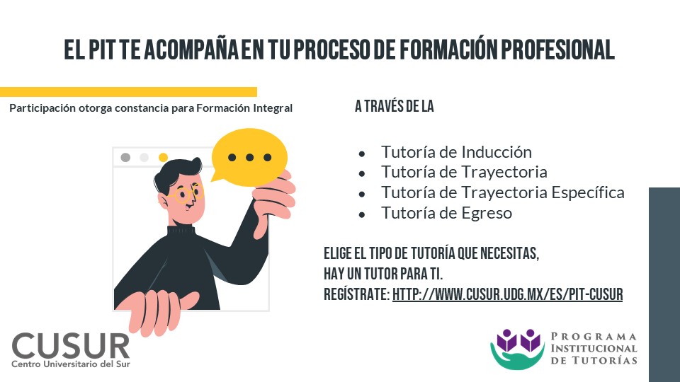 Imagen Tipos Tutoria PIT