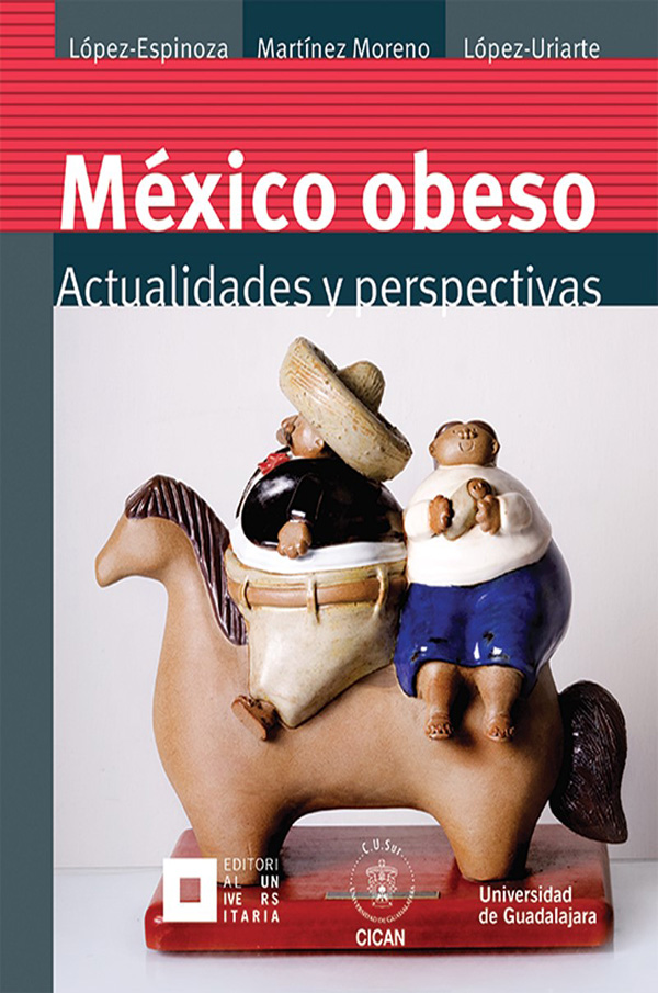 Imagen Libro mexico abeso