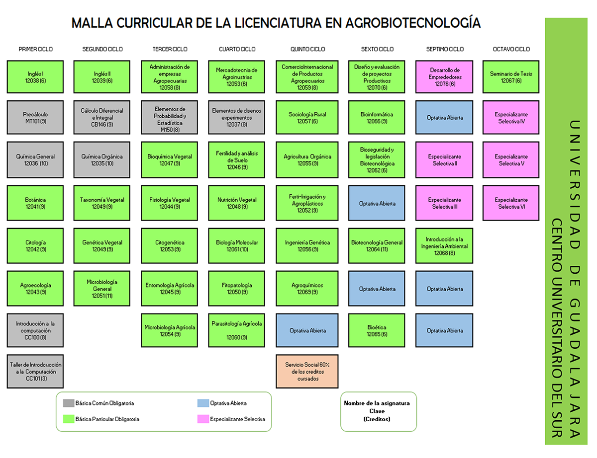 Mapa Curricular de la Licenciatura en Agrobiotecnología