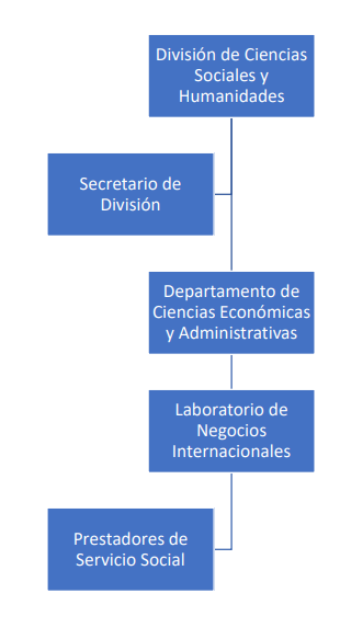 Imagen organigrama lab NI