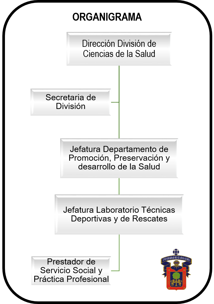 Imagen organigrama TDyR